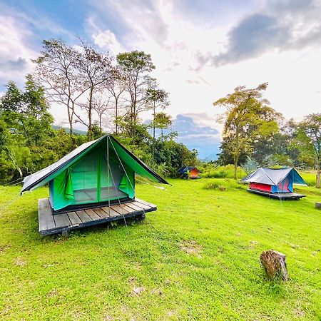 Ecoxplora-Zona De Camping Jardin Luaran gambar