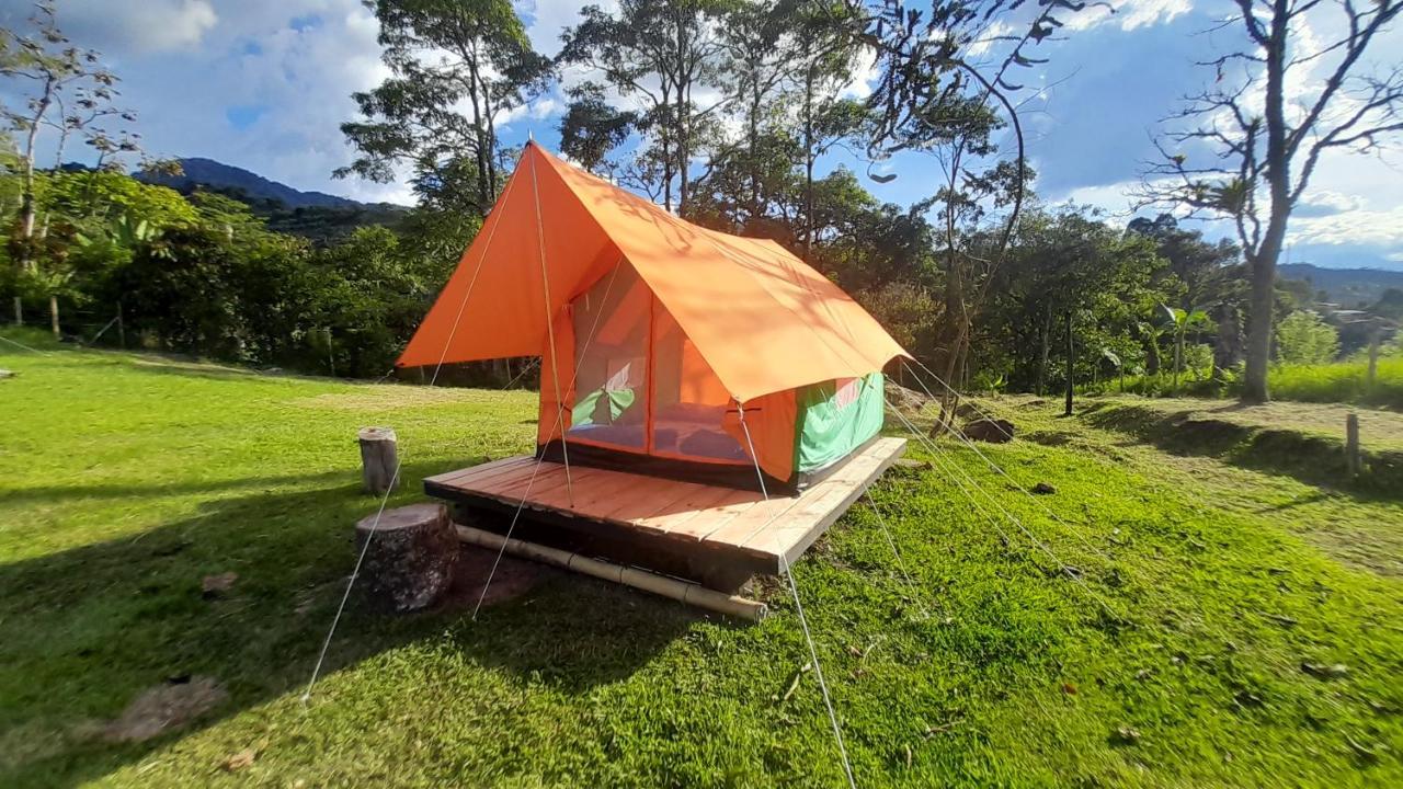 Ecoxplora-Zona De Camping Jardin Luaran gambar