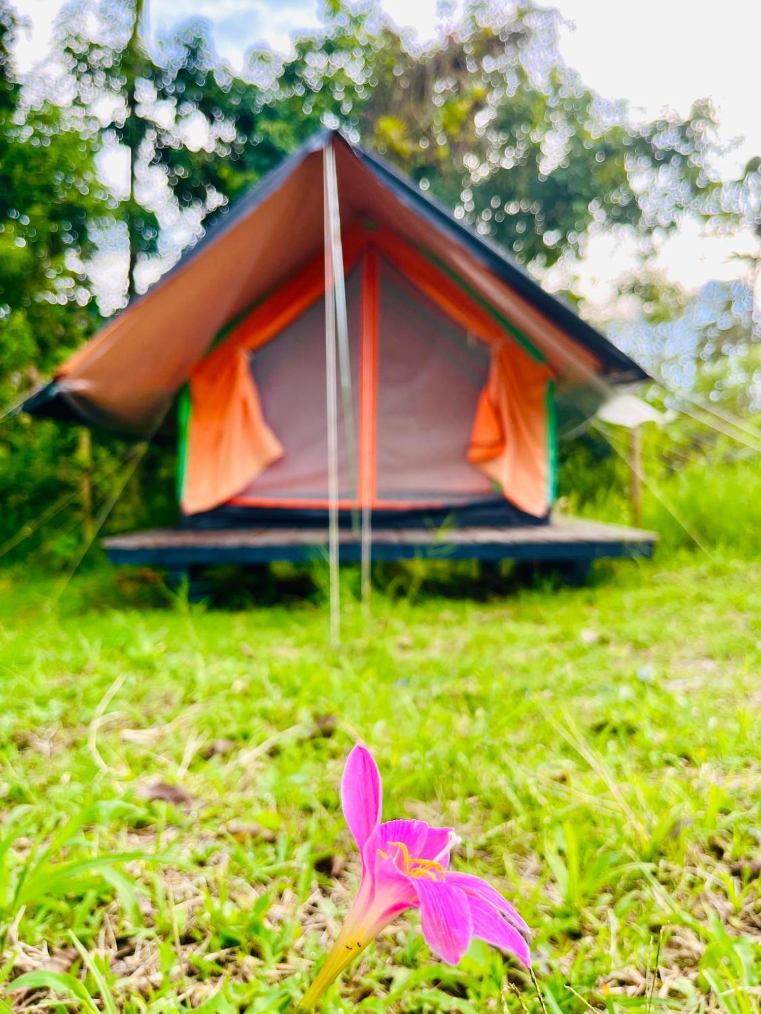 Ecoxplora-Zona De Camping Jardin Luaran gambar