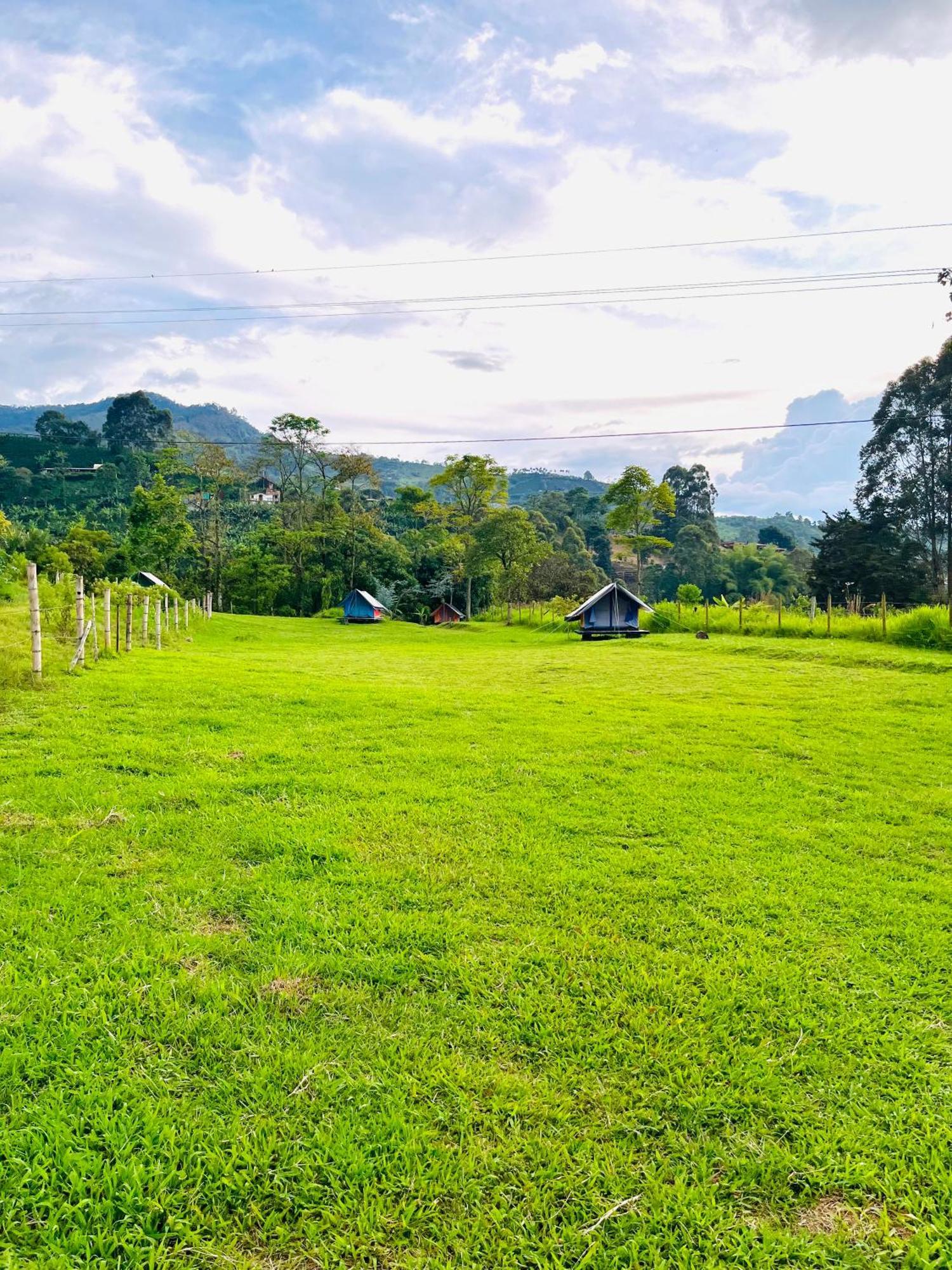 Ecoxplora-Zona De Camping Jardin Luaran gambar