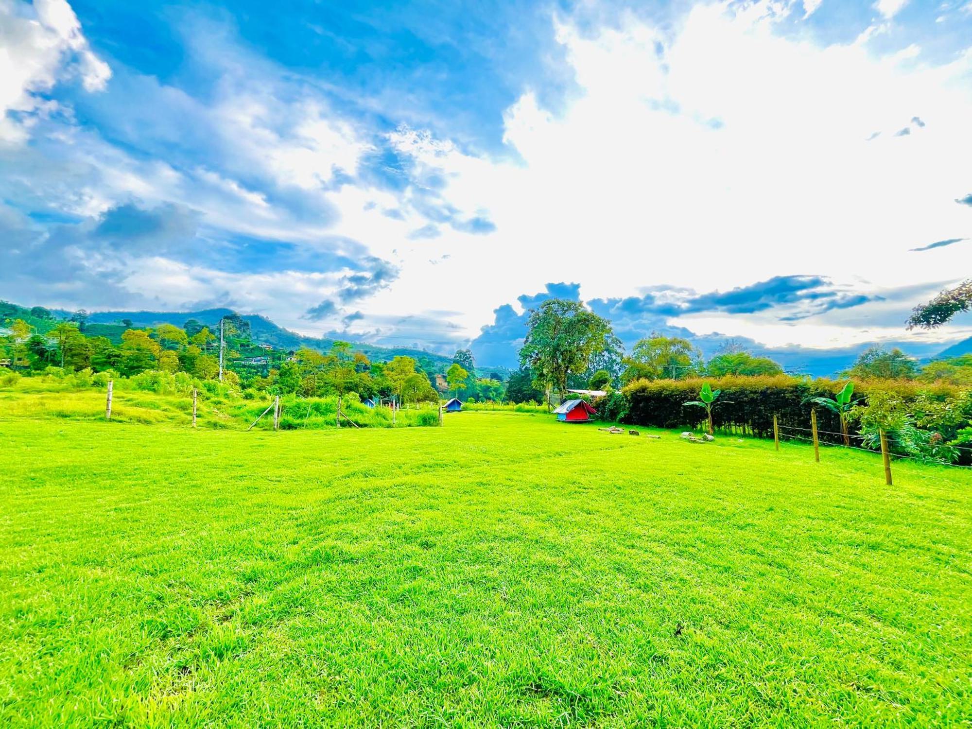 Ecoxplora-Zona De Camping Jardin Luaran gambar