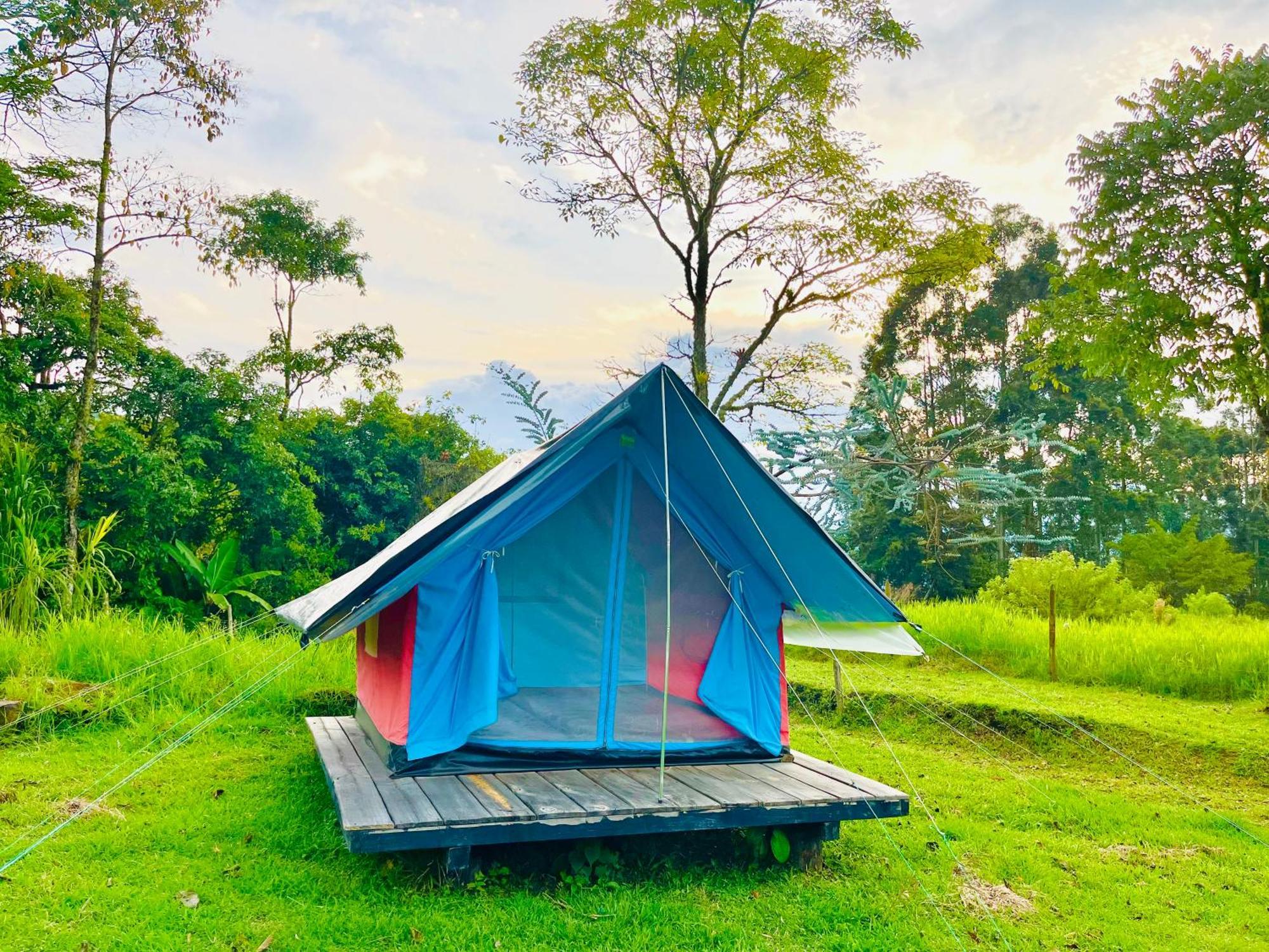 Ecoxplora-Zona De Camping Jardin Luaran gambar